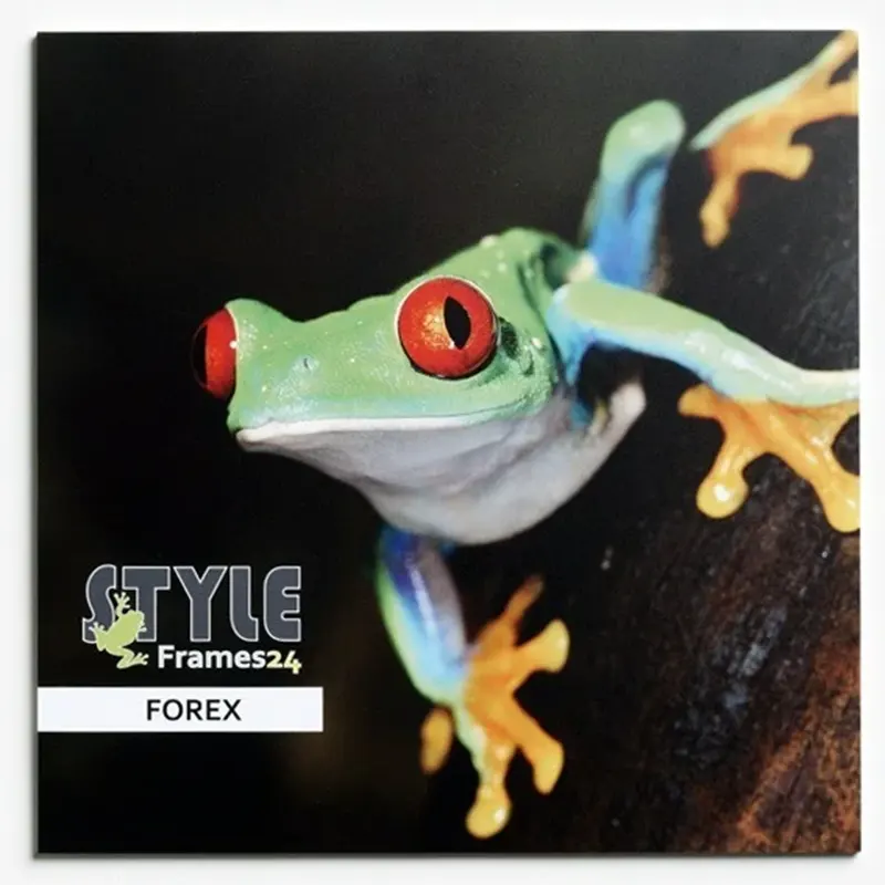 PVC-Hartschaumplatte (FOREX)