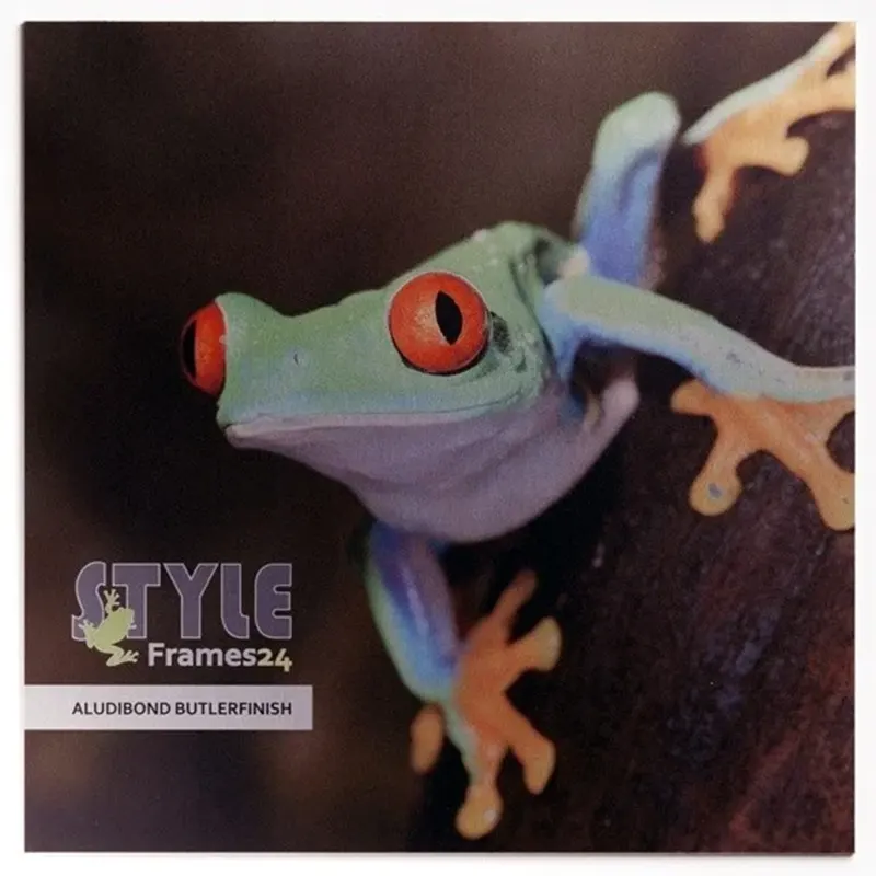 Aludibond Butlerfinish