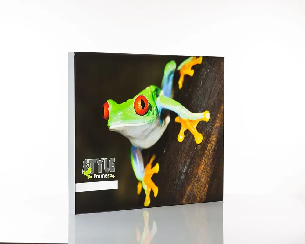 LED-Rahmen ALUFrame LED 65 ES