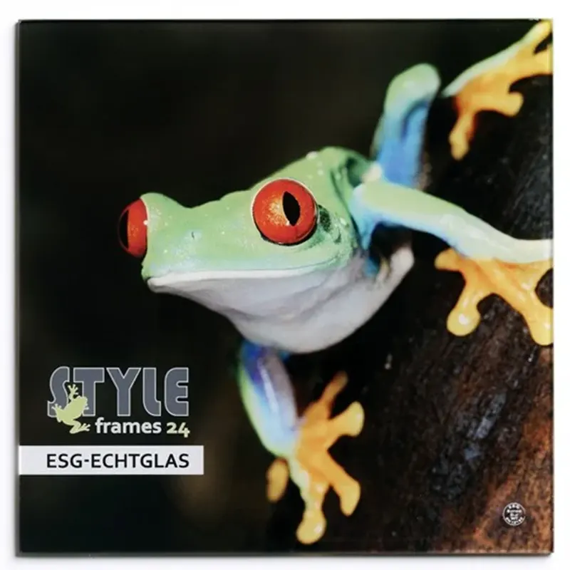 ESG-Glas 6 mm (Sicherheitsglas)